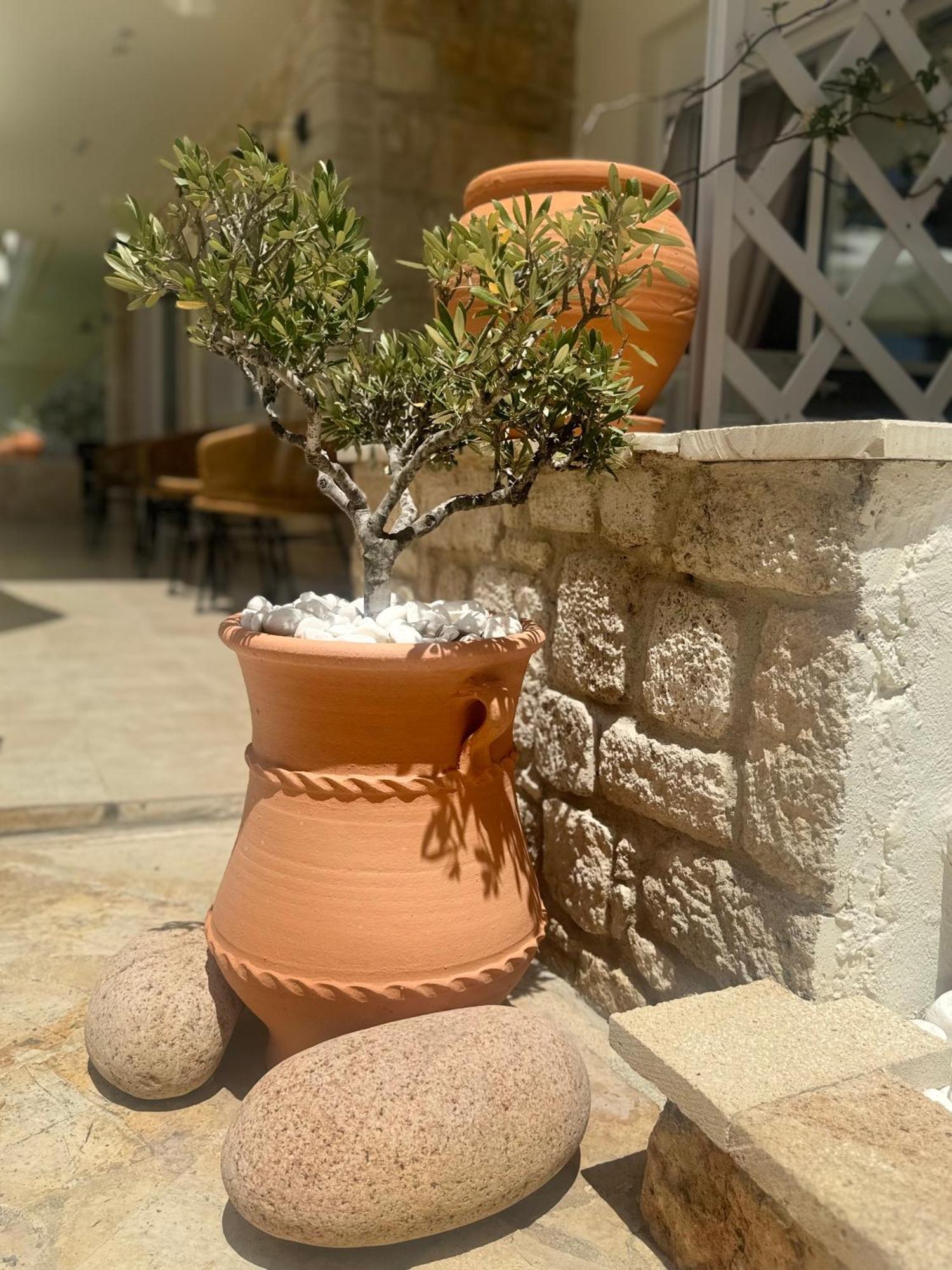 Melis Studios Kallithea  Exteriör bild
